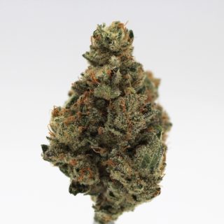 Lemon Winks cannabis strain