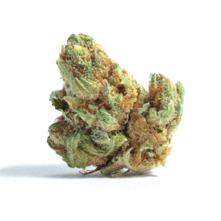 Live Long And Prosper cannabis strain