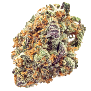 Mimosa cannabis strain