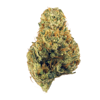 Mountain Girl X Grape Ape cannabis strain