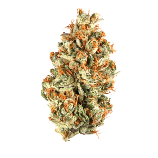 Northwest Pineapple cannabis strain