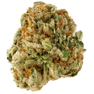 Ocd cannabis strain