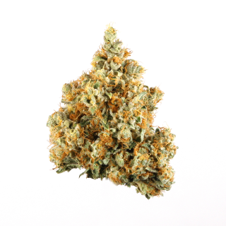 Omega cannabis strain