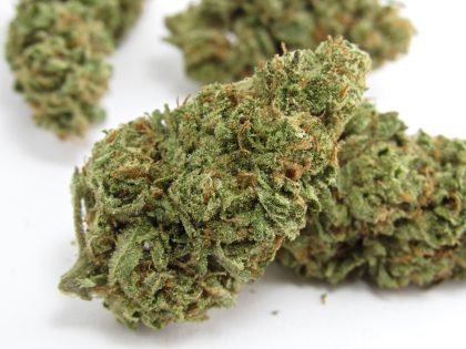 Omg cannabis strain
