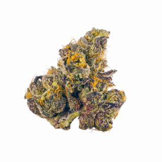 Orange Sherbert cannabis strain