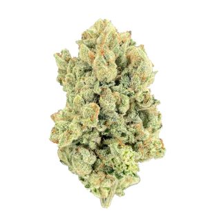Orange Tree cannabis strain