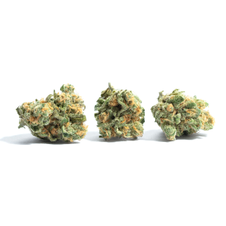 Panama cannabis strain