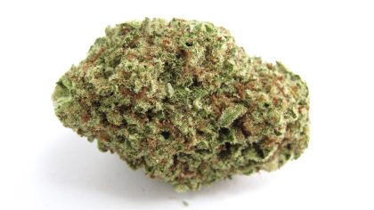 Papaya Punch cannabis strain