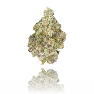 Paradiso cannabis strain