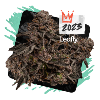Permanent Marker cannabis strain