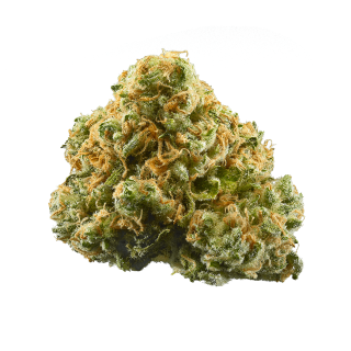 Pink Alien cannabis strain