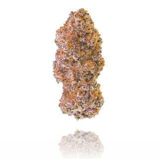 Pink Monet cannabis strain