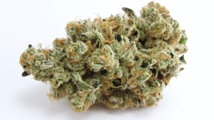 Platinum Kush Breath cannabis strain