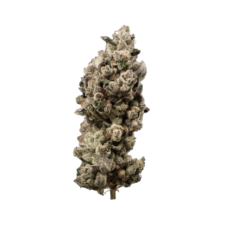 Powder Sugar cannabis strain