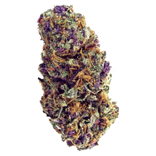 Purple Palm Tree Delight cannabis strain