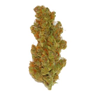 Purple Punch OG cannabis strain