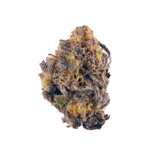 Querkle cannabis strain