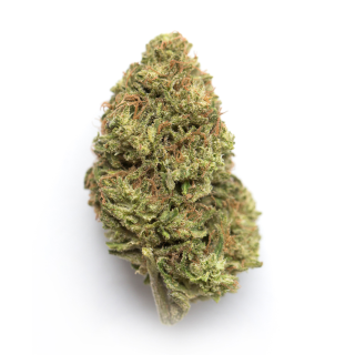 Rainbow Gelato cannabis strain