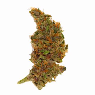 Red Strawberry Banana Auto cannabis strain