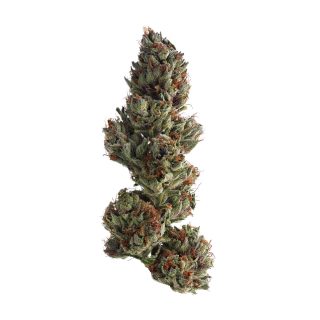Runtz cannabis strain