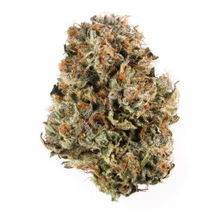 Salmon River OG cannabis strain