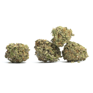 Sensi Skunk cannabis strain