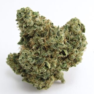 Slapz cannabis strain