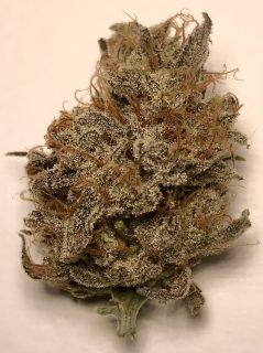Sour Blue Sunrise cannabis strain