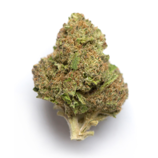Sour Haze cannabis strain