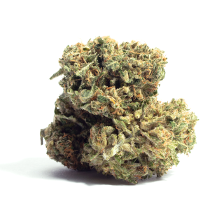 Sour OG Cheese cannabis strain