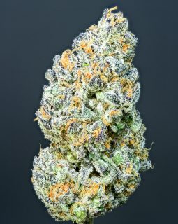 Sour Spreez cannabis strain