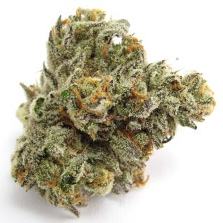 Stay Puft cannabis strain