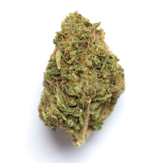 Stevie Wonder cannabis strain