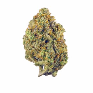 Super Lemon Haze cannabis strain