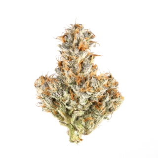 Super Sweet cannabis strain