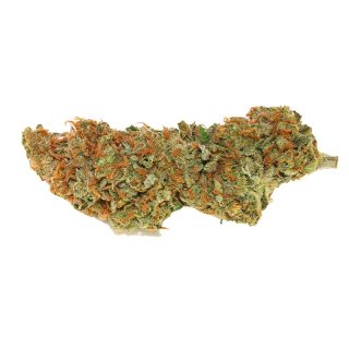 Sweet Amnesia Haze cannabis strain