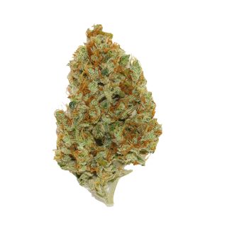 Sweet Cheese cannabis strain
