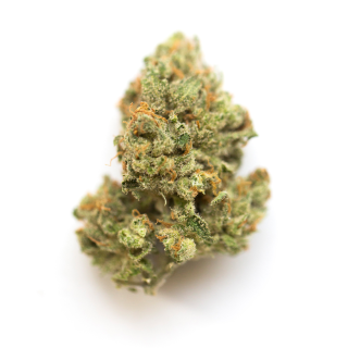 Sweet Dream cannabis strain