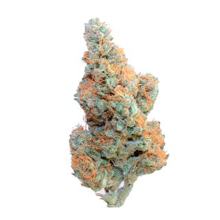 Sweet Mandarin Zkittlez Xl Auto cannabis strain
