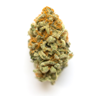 Tangerine G13 cannabis strain