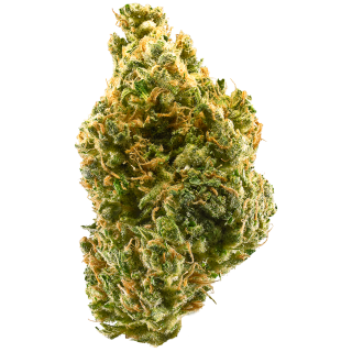 Tangie cannabis strain