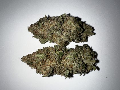 Taylor Ham And Cheese cannabis strain