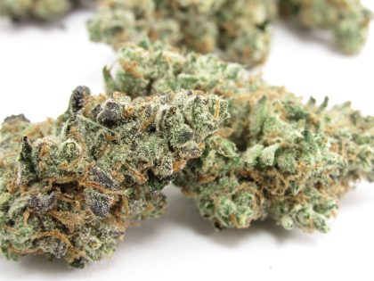 The Judge cannabis strain