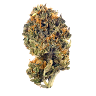 Ube Cake cannabis strain