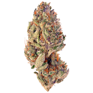 Ultraviolet OG cannabis strain