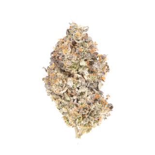 Undertow cannabis strain