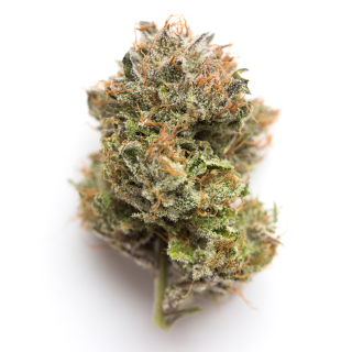 Unicorn Cake cannabis strain