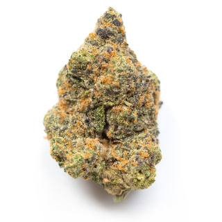 Violator Kush cannabis strain
