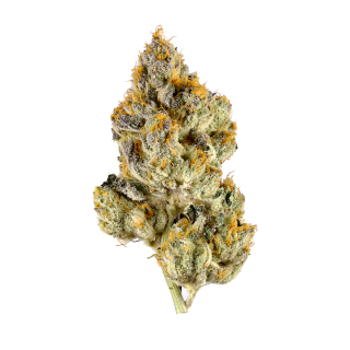 Walker Kush cannabis strain