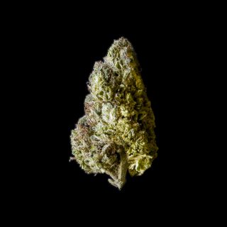 Wedding Wreck cannabis strain
